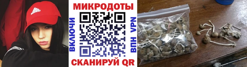 Псилоцибиновые грибы мицелий Россошь